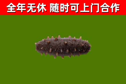红桥烟酒回收干海参.jpg